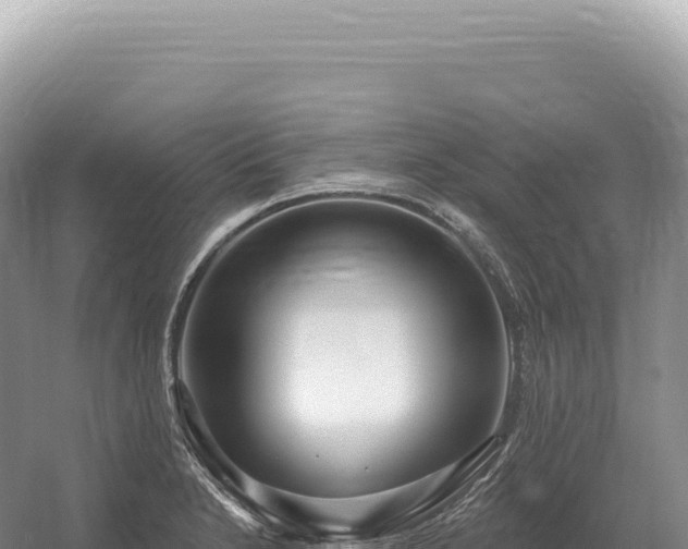 X0000054421230200508051757