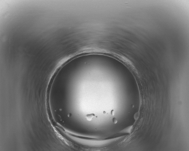 X0000054421231200508051757