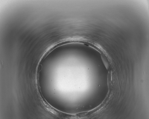 X0000054421232200508051757