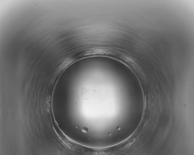 X0000054421233200508051757