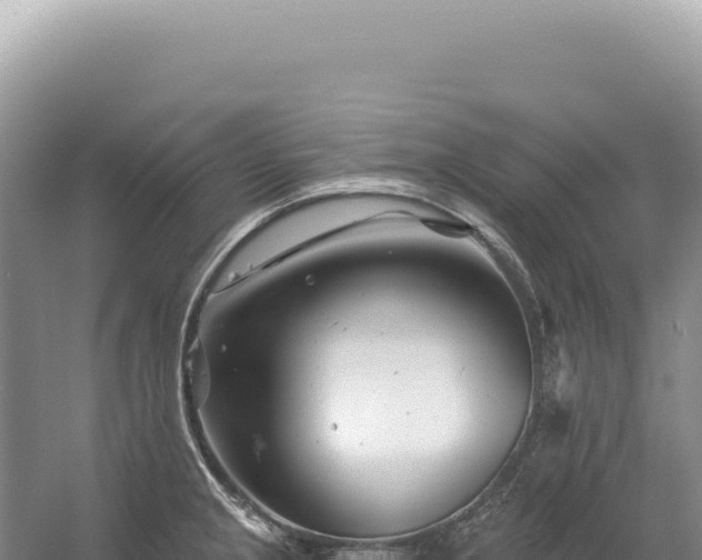 X0000054421237200508051757