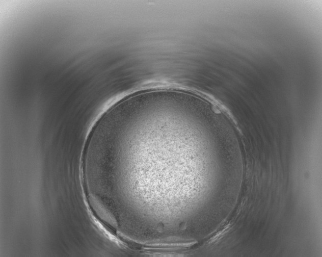 X0000054421239200508051757