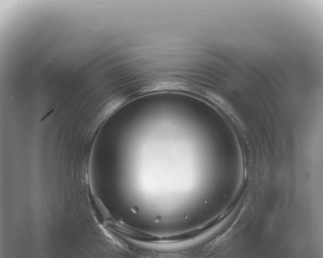 X0000054421241200508051757