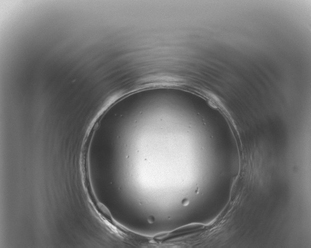 X0000054421243200508051757