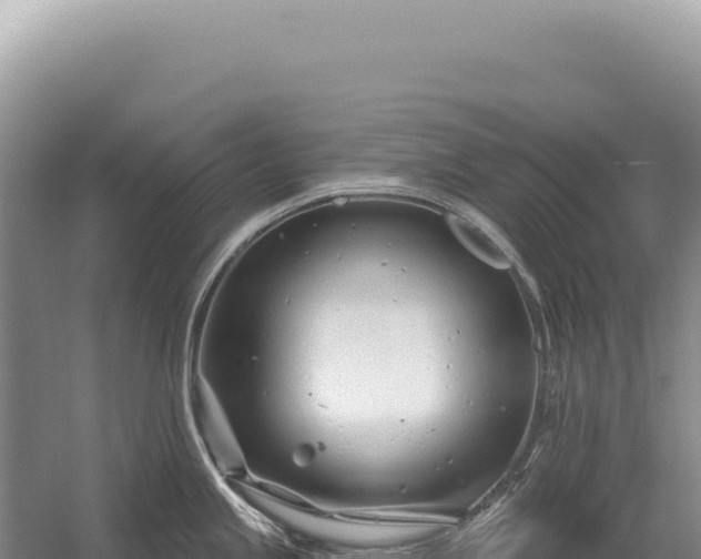 X0000054421245200508051757