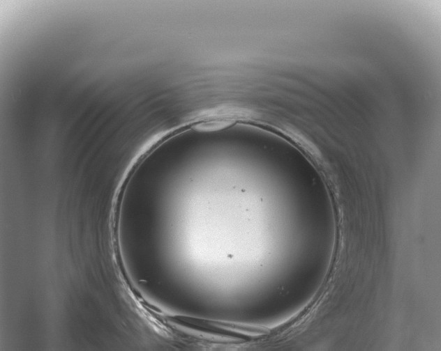 X0000054421248200508051757