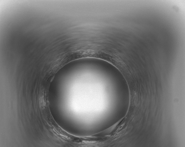 X0000054421250200508051757