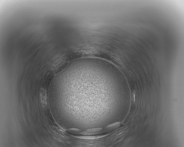 X0000054421251200508051757