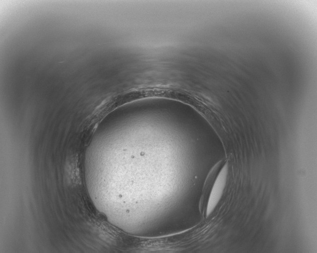 X0000054421252200508051757