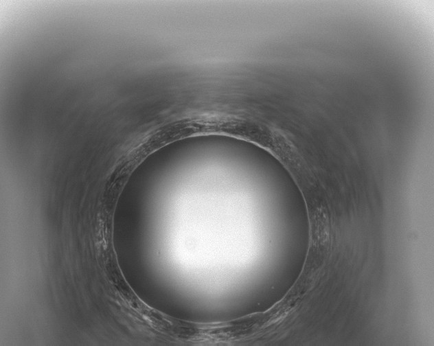 X0000054421253200508051757