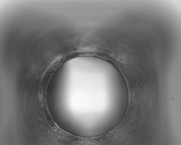 X0000054421254200508051757