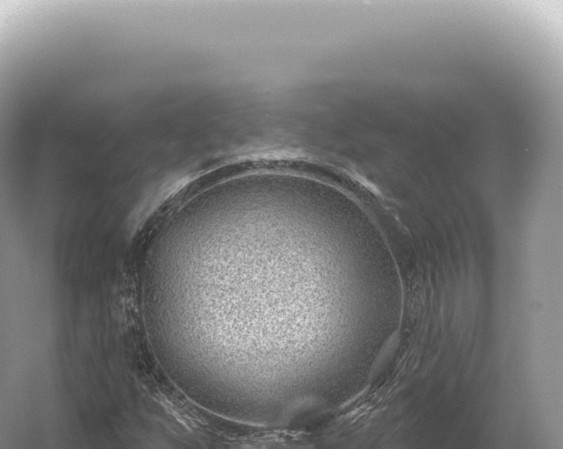 X0000054421255200508051757