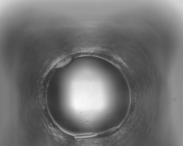 X0000054421256200508051756