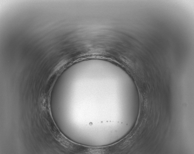 X0000054421258200508051756