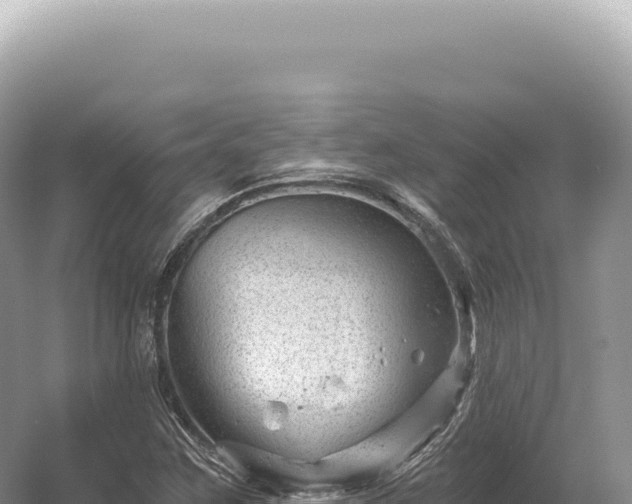 X0000054421259200508051756