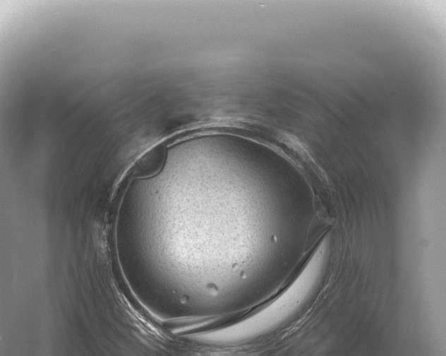 X0000054421260200508051756