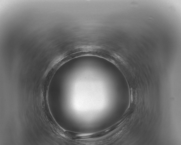 X0000054421261200508051756