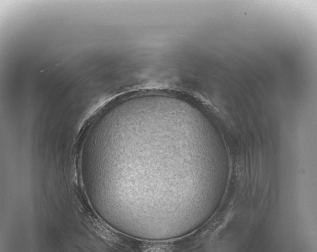 X0000054421262200508051756