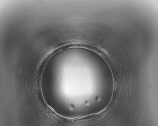 X0000054421263200508051756