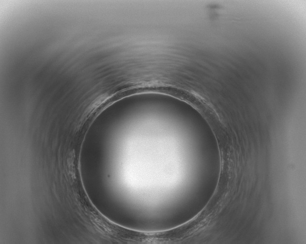 X0000054421265200508051756