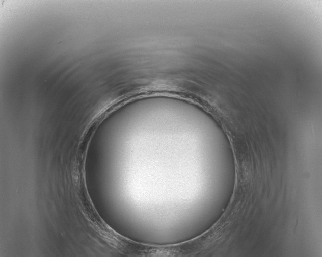 X0000054421266200508051756