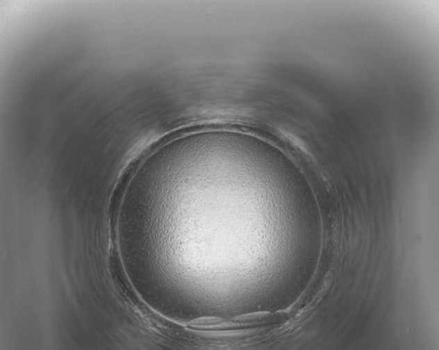 X0000054421267200508051756