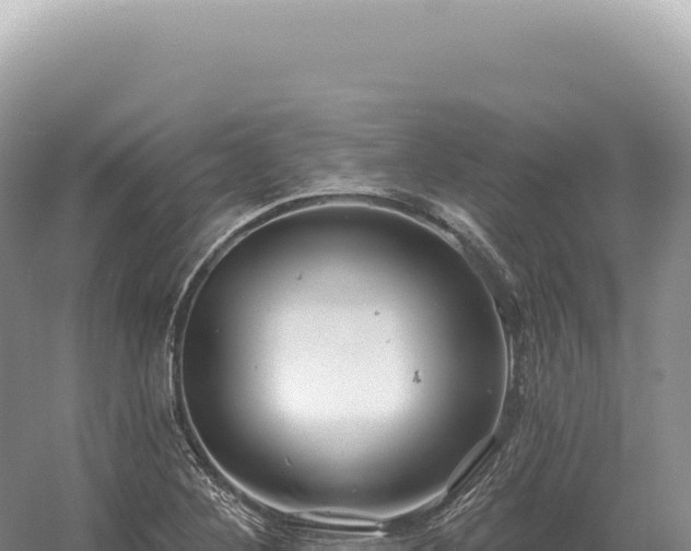 X0000054421268200508051756