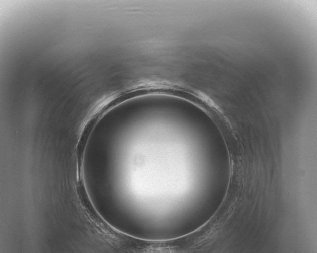 X0000054421269200508051756