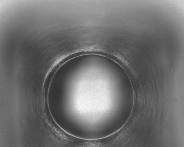 X0000054421270200508051756