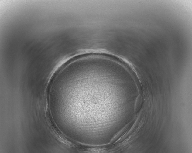 X0000054421271200508051756