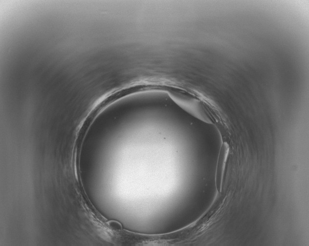 X0000054421272200508051756