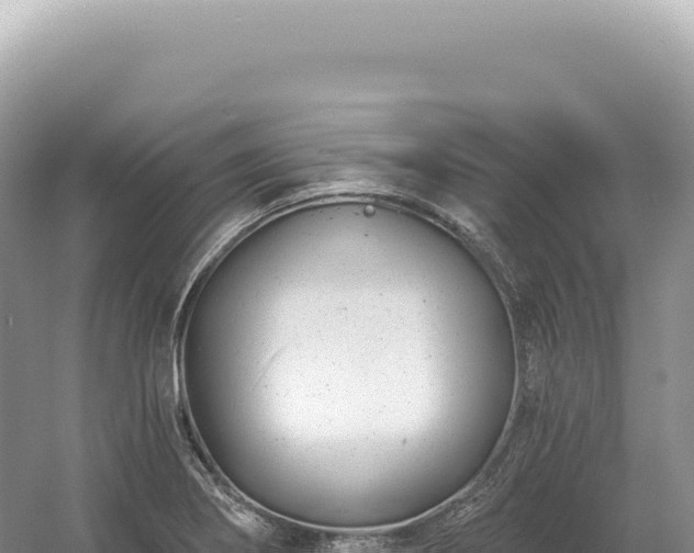 X0000054421274200508051756