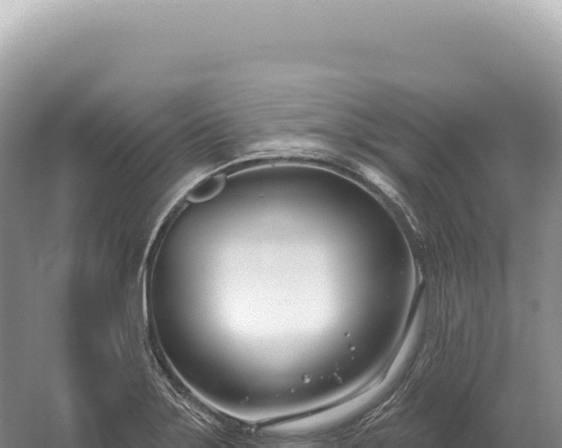 X0000054421275200508051756