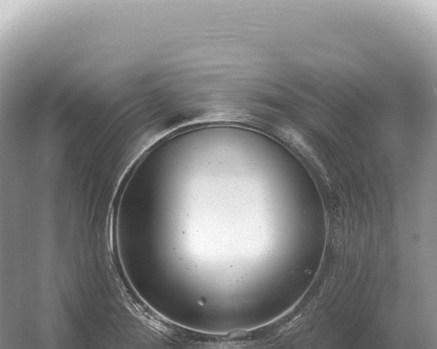 X0000054421276200508051756