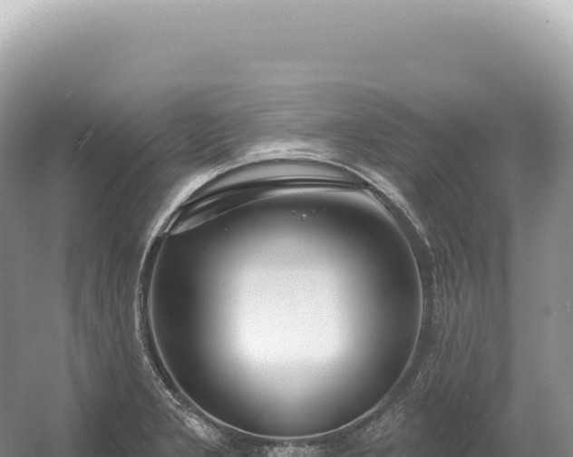 X0000054421277200508051756