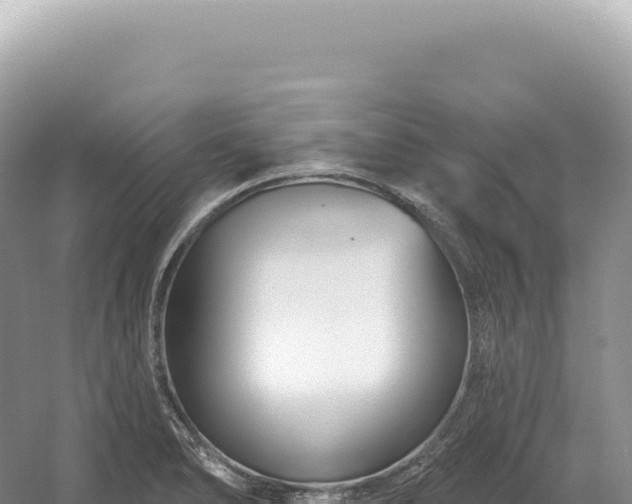 X0000054421278200508051756