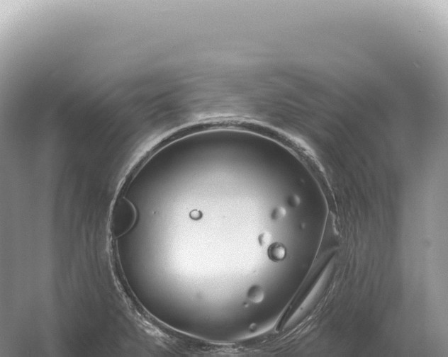 X0000054421279200508051756