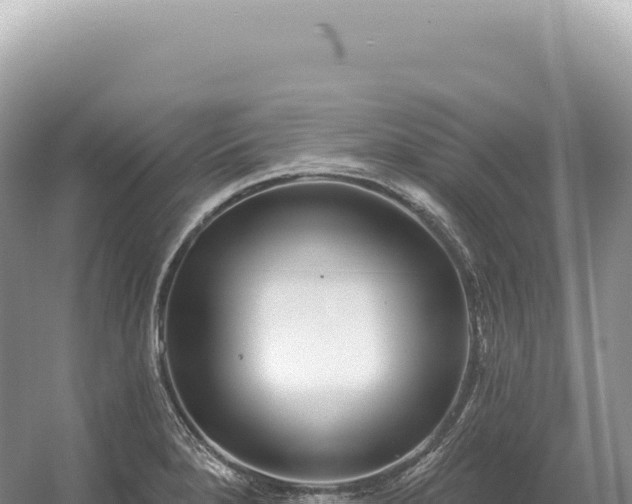 X0000054421280200508051756