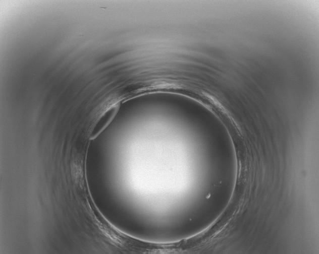 X0000054421281200508051756