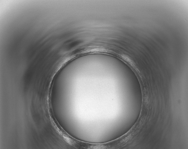 X0000054421282200508051756