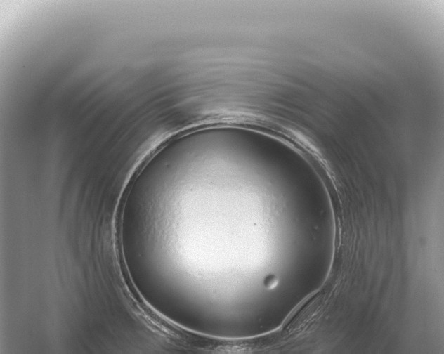 X0000054421283200508051756