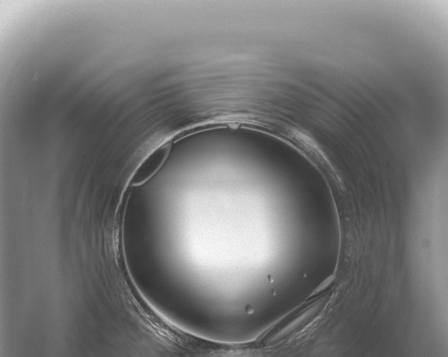 X0000054421284200508051756