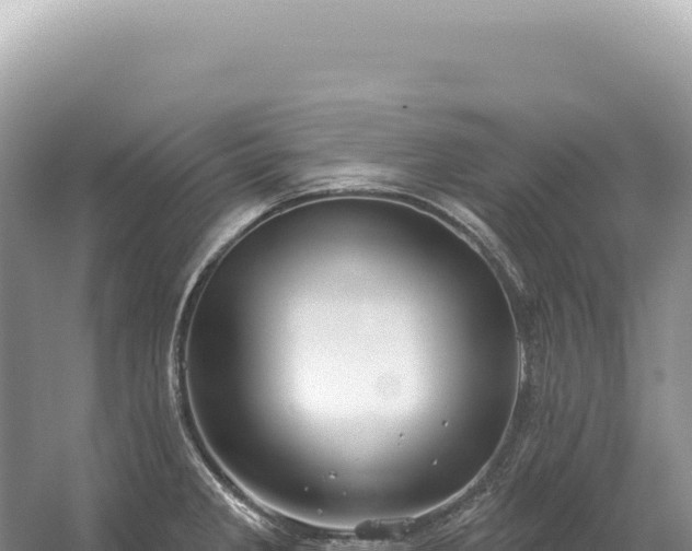 X0000054421285200508051756