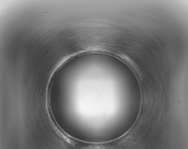 X0000054421286200508051756