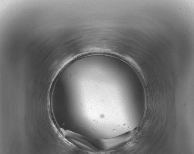 X0000054421287200508051756