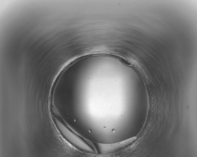 X0000054421288200508051756