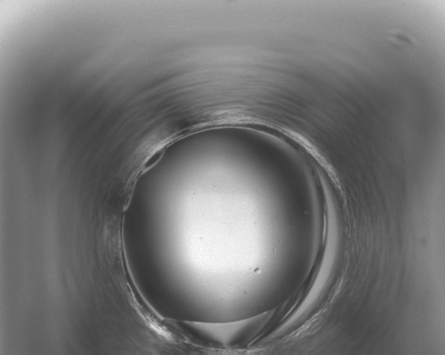 X0000054421289200508051756