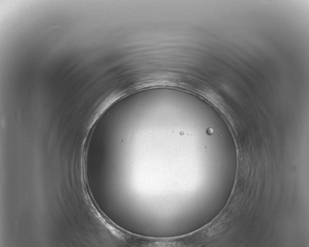 X0000054421290200508051756