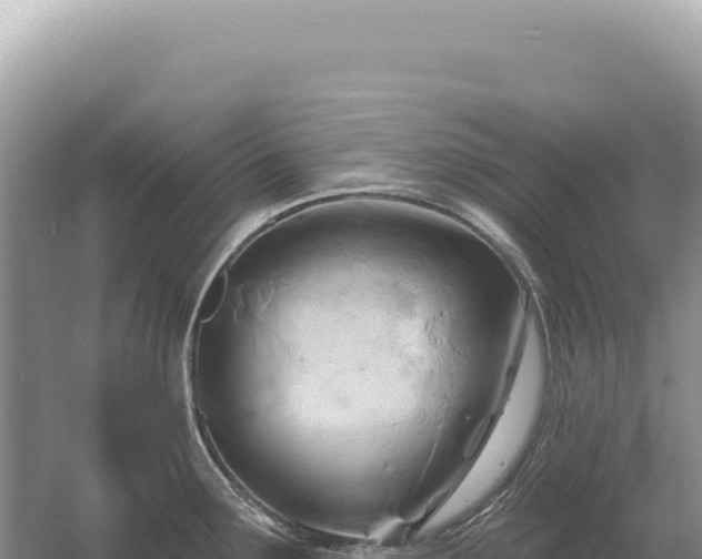 X0000054421291200508051756