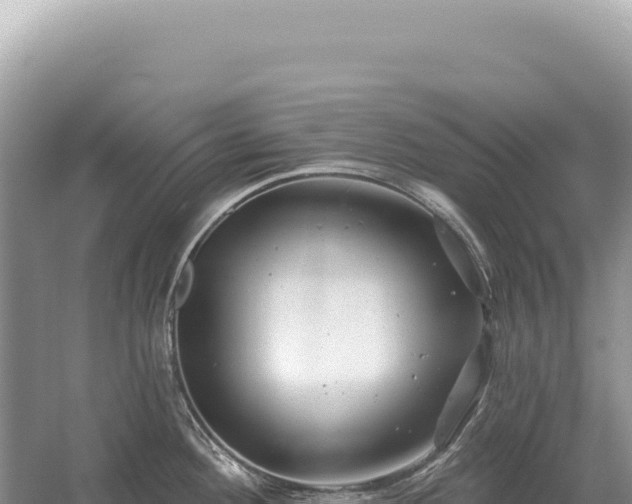 X0000054421292200508051756